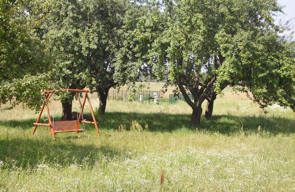 hebergement AlohaCamp Ducka Wola 10 - Cichy Zakątek, sielanka na wsi 5