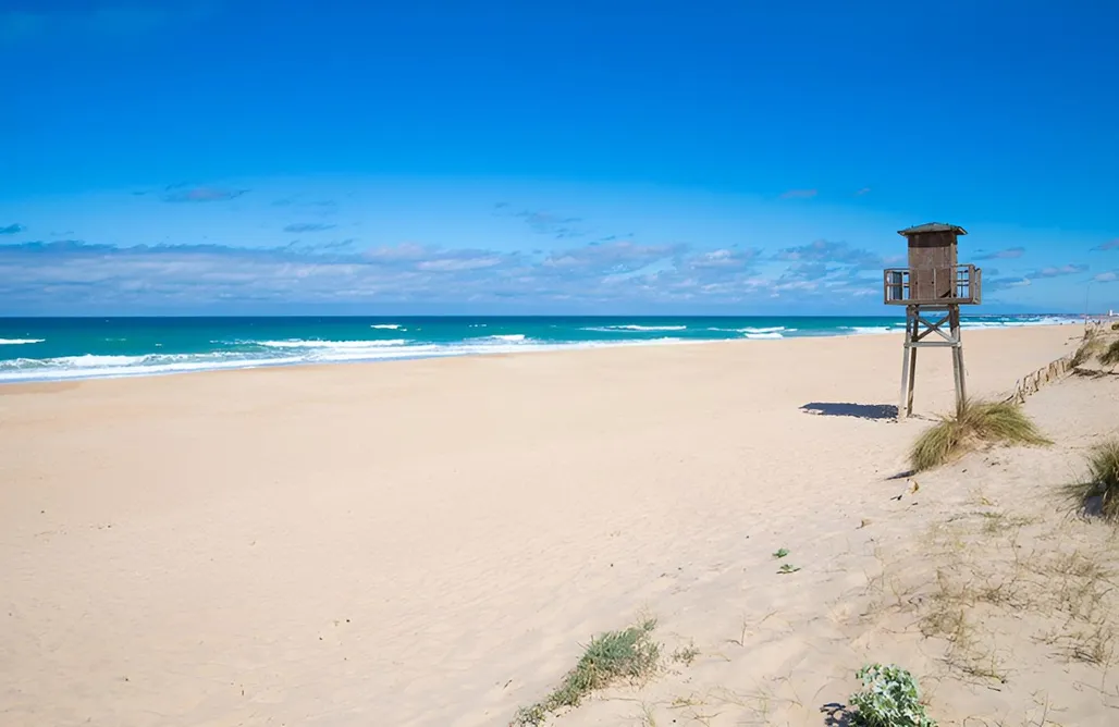 Casa Miguel Angel en Playa El Palmar AlohaCamp