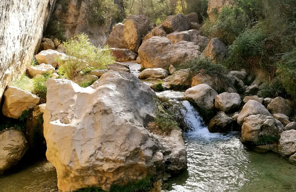 AlohaCamp Caserio Los Chacones  1