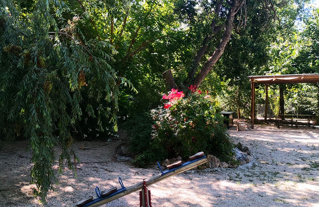 AlohaCamp Nuevo Recuenco 1