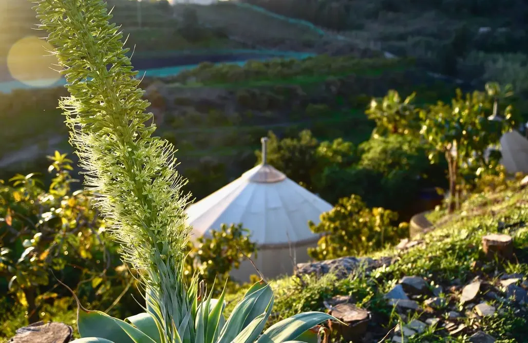 alojamientos AlohaCamp Las Yurtas de Darja 3