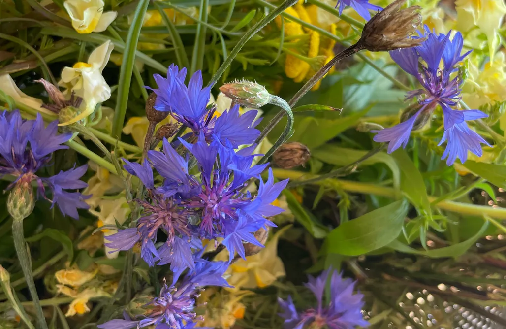 noclegi AlohaCamp Drewniany Domek w Marczycach 1