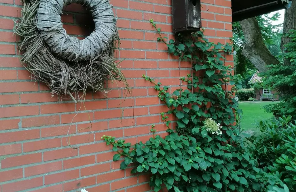 Unterkunft AlohaCamp Ferienhaus in Rumke 5