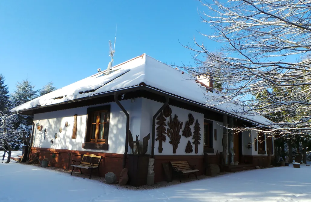 Domki nad Jeziorem Dolnośląskie Dom na Leśnym Zaciszu 1