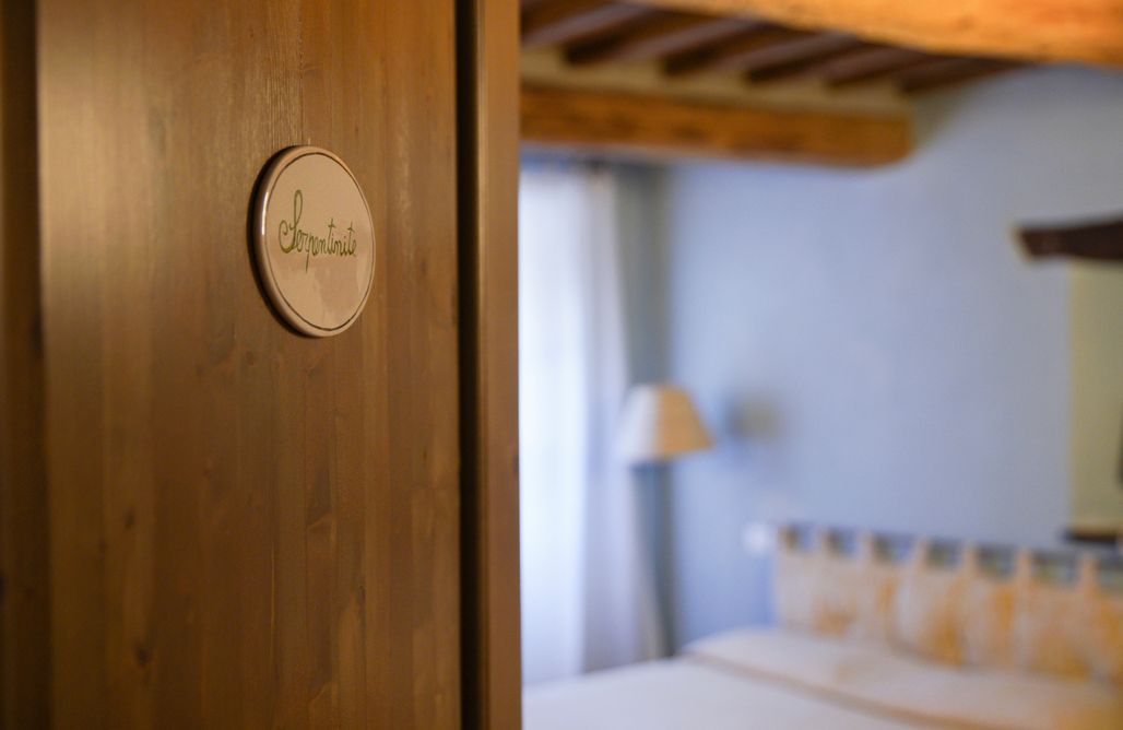 AlohaCamp Serpentinite 2