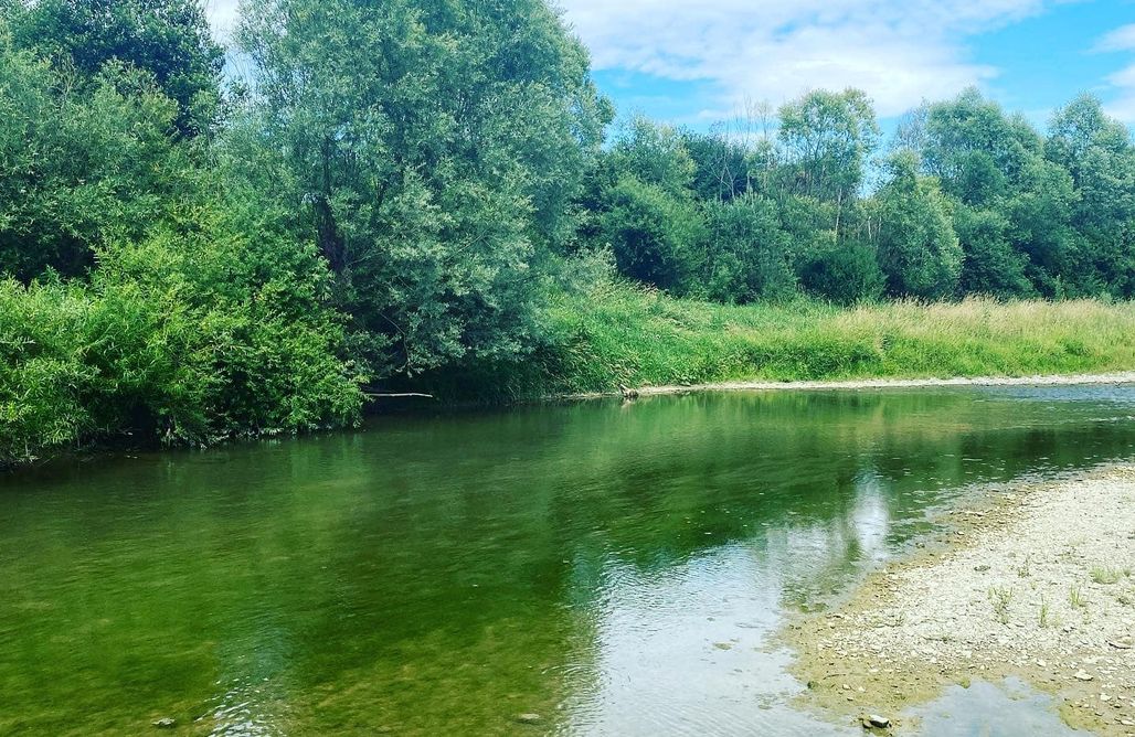 noclegi AlohaCamp Miejsce kamperowe - Pod Skamieniałym Miastem 1