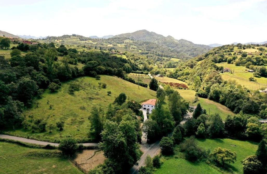 Bungalows En Asturias Finca La Naguada, tu casa rural en Infiesto 3