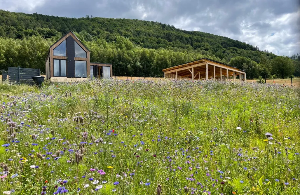 noclegi AlohaCamp Samsara 4