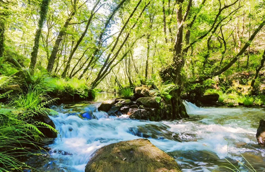 Casa Rural Ourense O Muiño de Pena 3