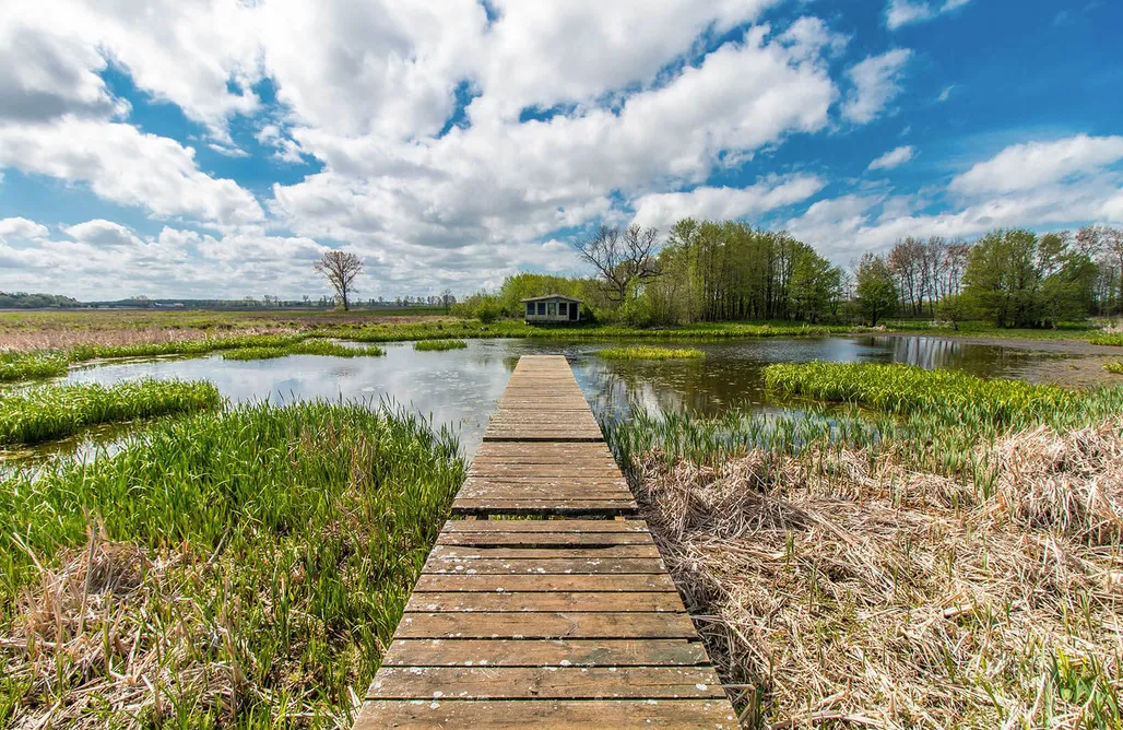 Domki Pobierowo Domki Sielanka 3