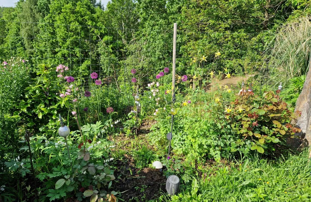 alojamientos AlohaCamp Janischhof 48 1