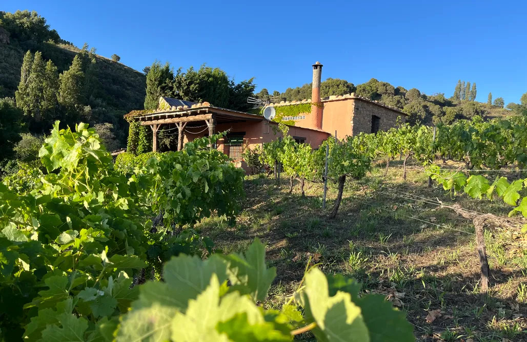 AlohaCamp Cortijo El Cerrillo 1