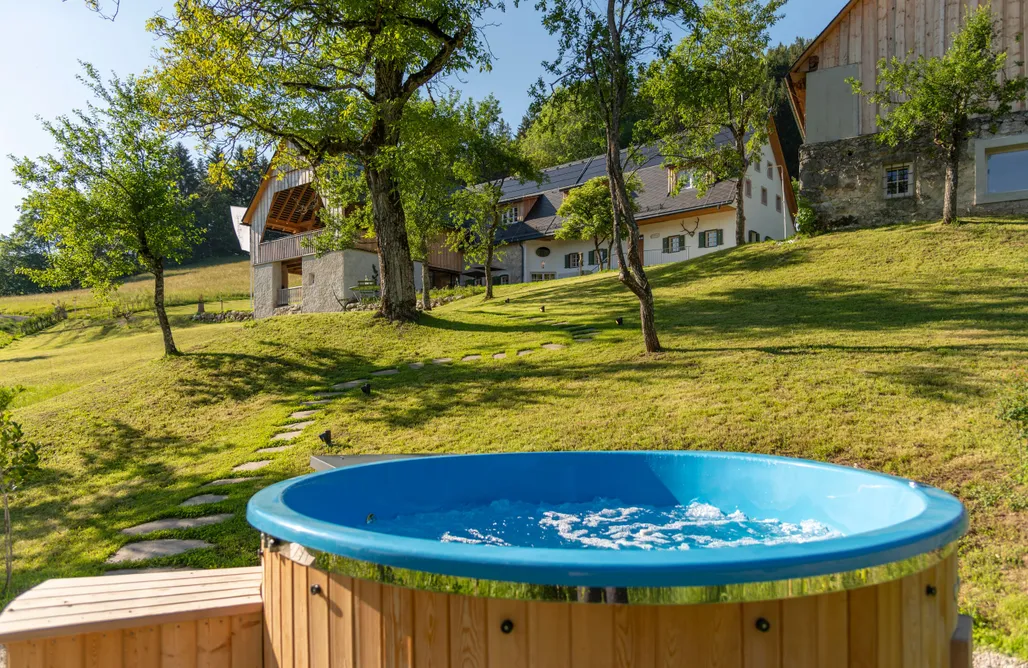 Hütte Mieten Österreich Landhaus Obersteinriegl 3