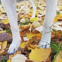 Agnieszka użytkownik