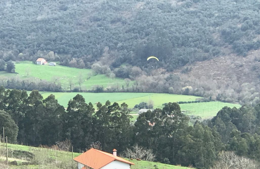 Hoteles Rurales en Cantabria Vacas con encanto / Arcadia 1