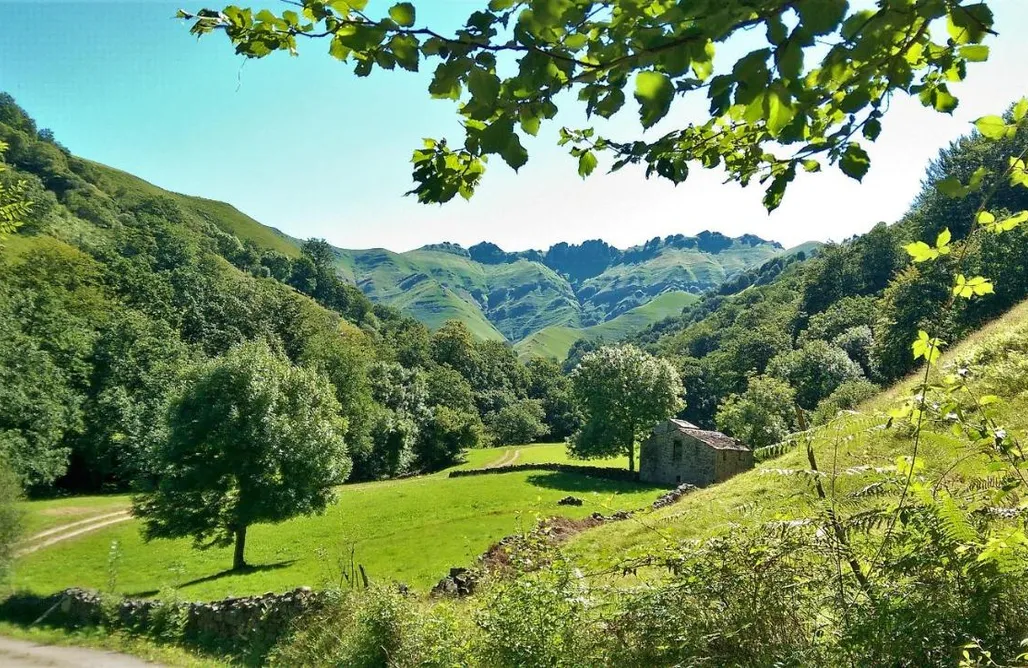 Alojamientos Cantabria 🌳 Pidream Cottage. Cabaña de Pisueña 3