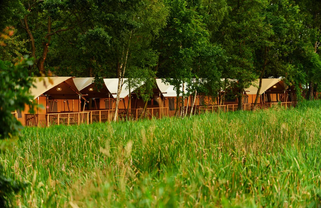 AlohaCamp DELUX - NAMIOT Z JACUZZI  1