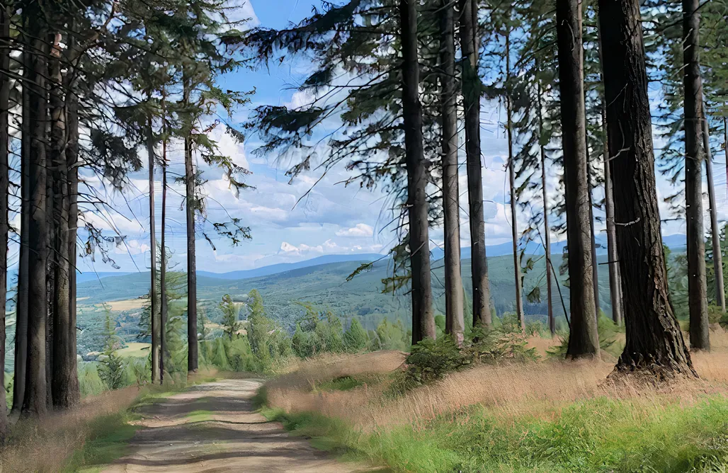 Unterkunft AlohaCamp Antoniów 13 Góry Izerskie 4