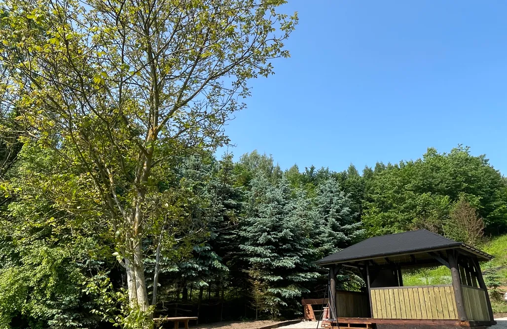 AlohaCamp Koza w baletkach 1