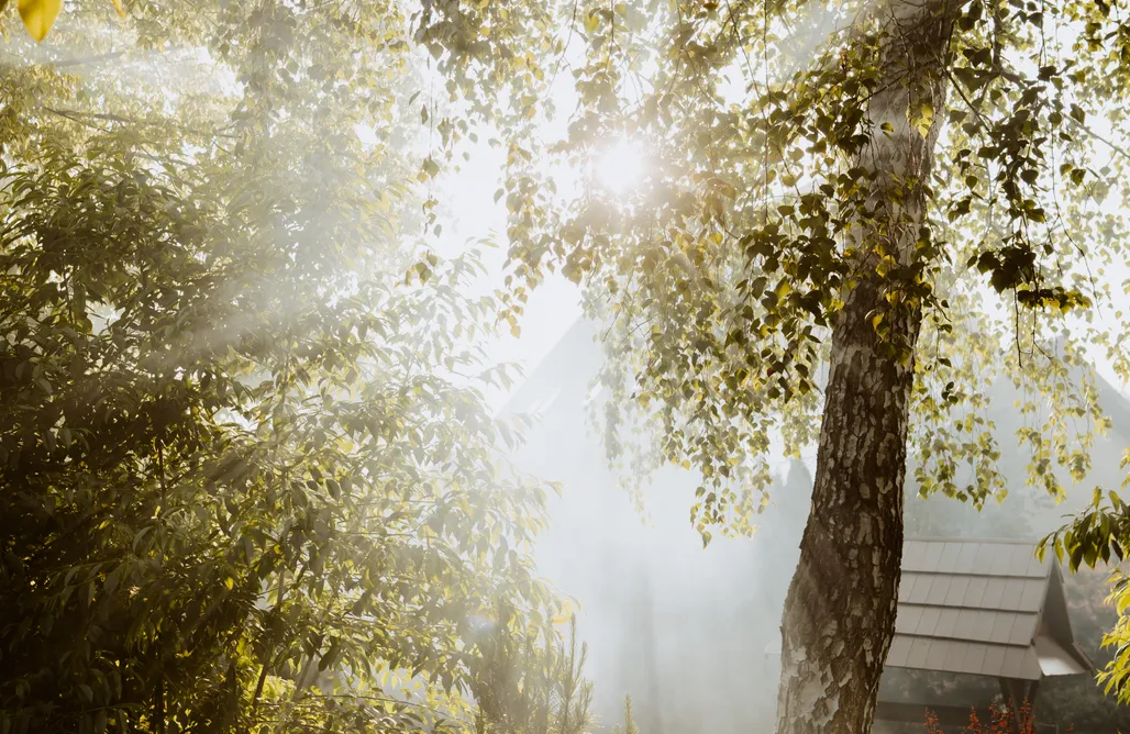 noclegi AlohaCamp Dom wypoczynkowy Milówka 5