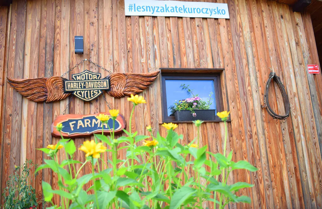 AlohaCamp Leśny Zakątek Uroczysko - Stajnia  1