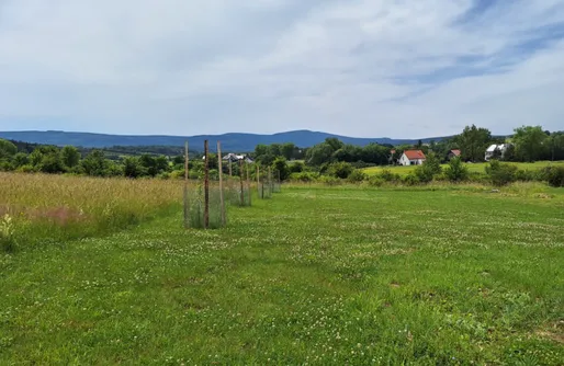 Zdjęcie obiektu Jurta Na polanie smaczne spanie