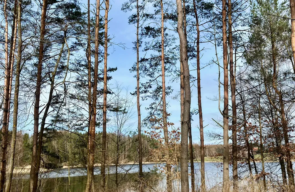 alojamientos AlohaCamp Sauerwald Pierwszy 1