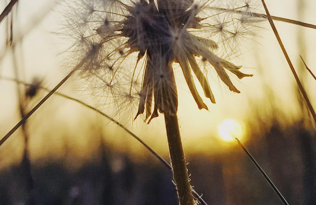 noclegi AlohaCamp Alojamiento Rural "El Granjuelo" 1