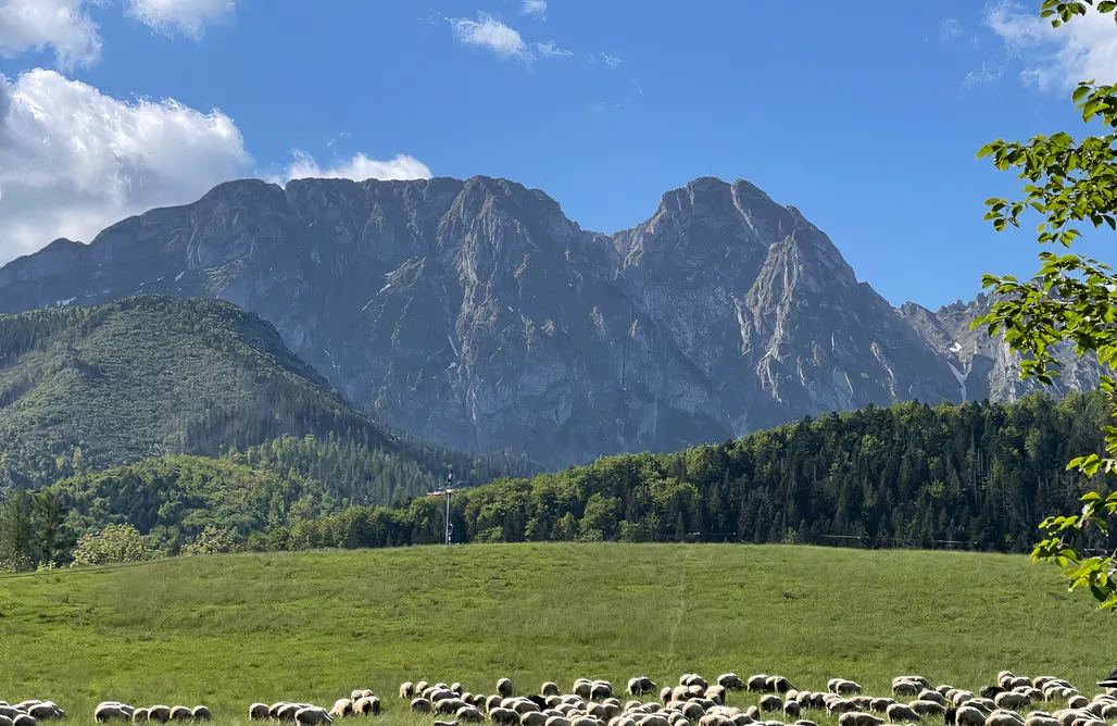 noclegi AlohaCamp Domek Viata 4