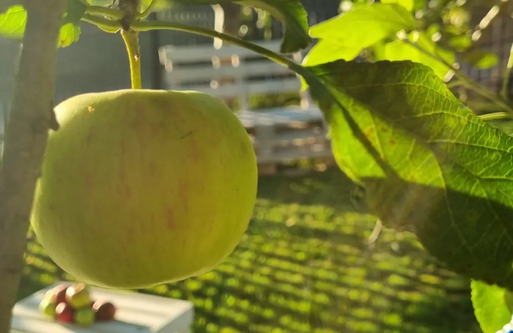 noclegi AlohaCamp Dom "W Małym Sadzie" 5