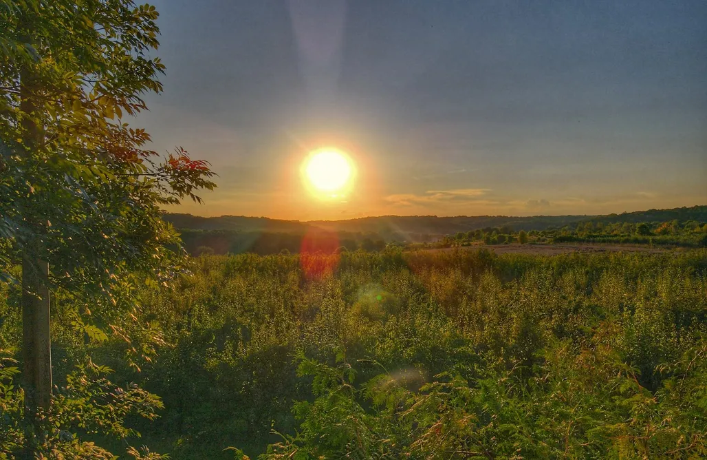 Pole namiotowe lubelskie Miejsce kamperowe - Pod Jabłonią 1