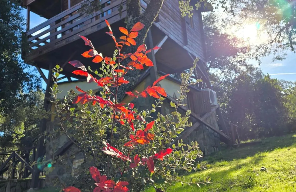 Casa rural El Robledo Ecolodge Cabañeros 2