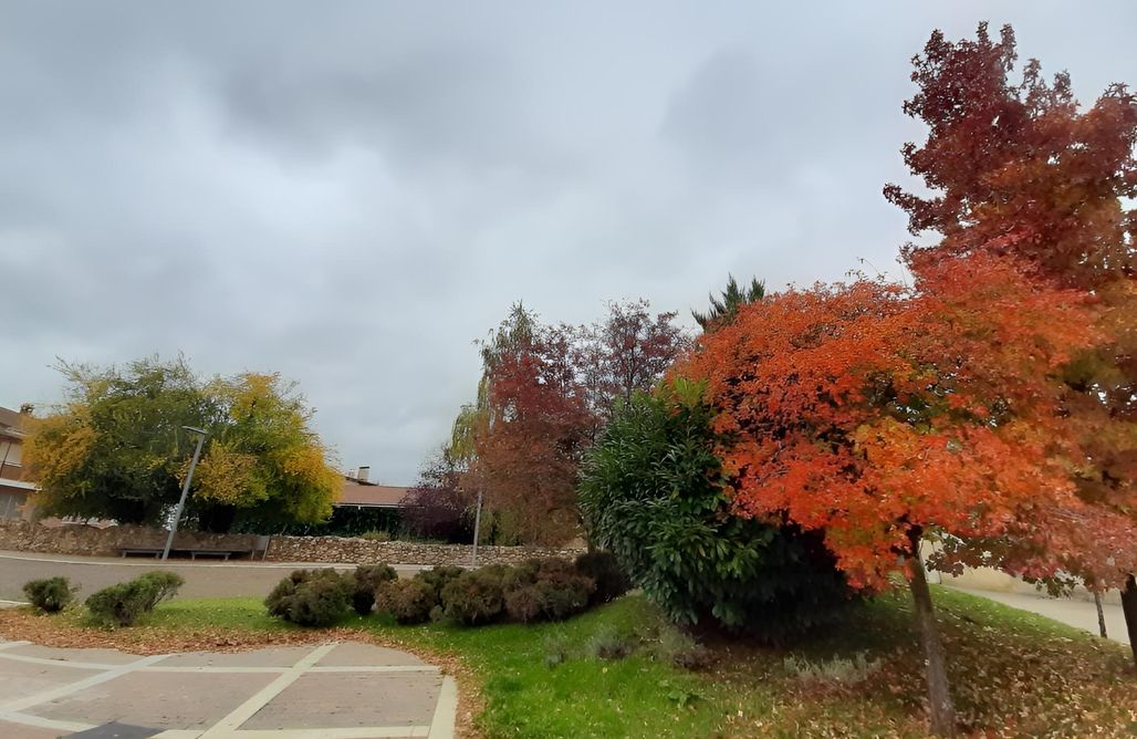 El Vallín de Lan AlohaCamp