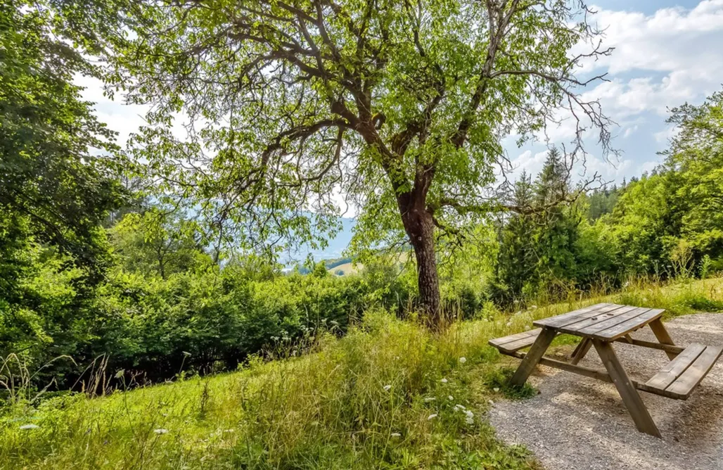 Unterkunft AlohaCamp Chalet Chenavan - sur les hauteurs de Talloires 5