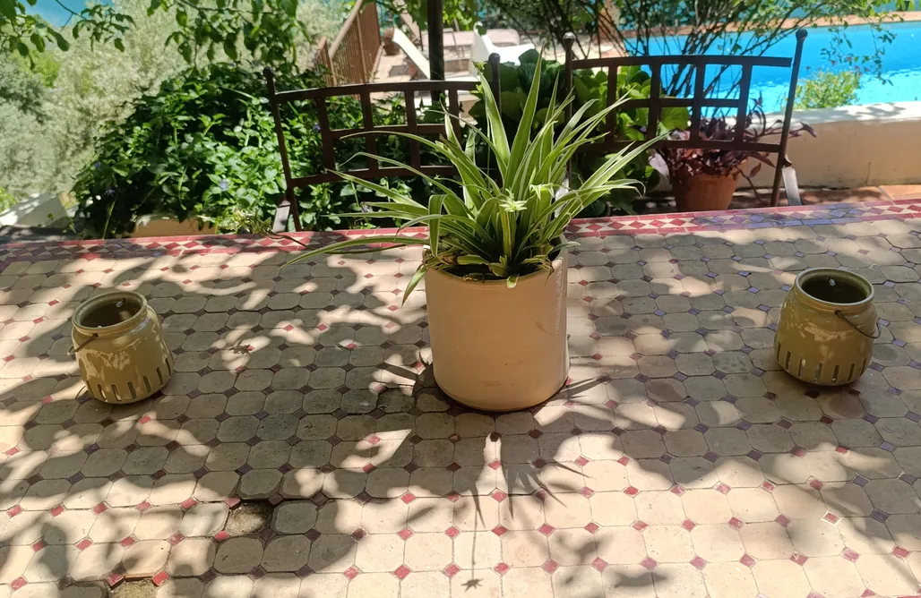 alojamientos AlohaCamp La Solanilla: El Cortijo 1