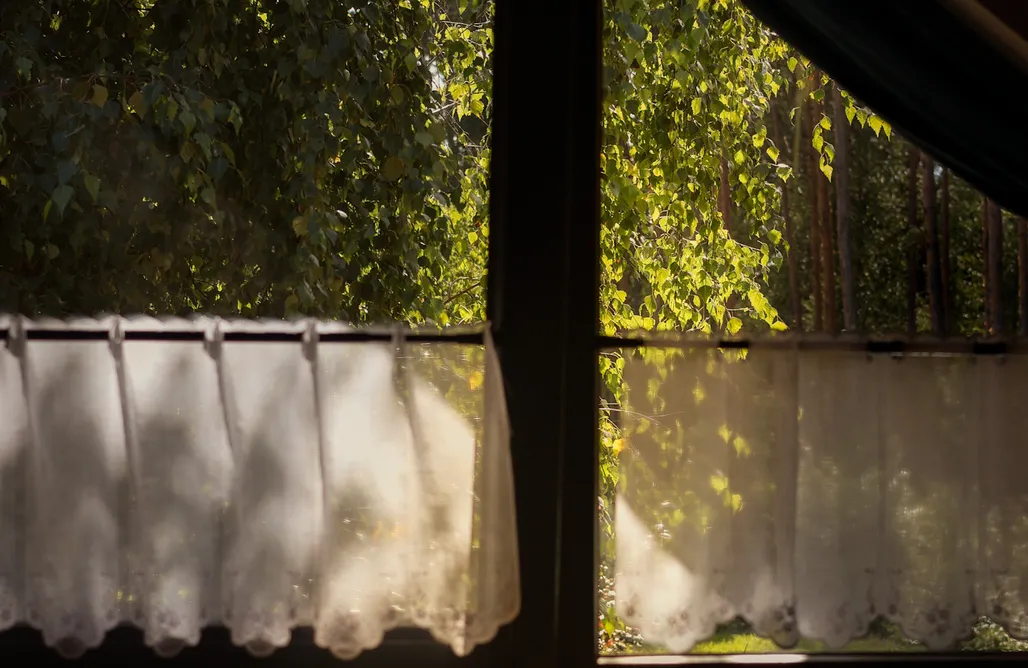 Alloggi AlohaCamp Forest Mood 4