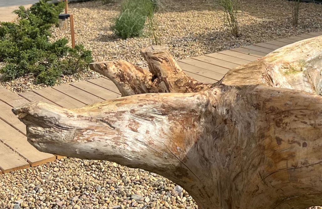 noclegi AlohaCamp Królicza Nora 1