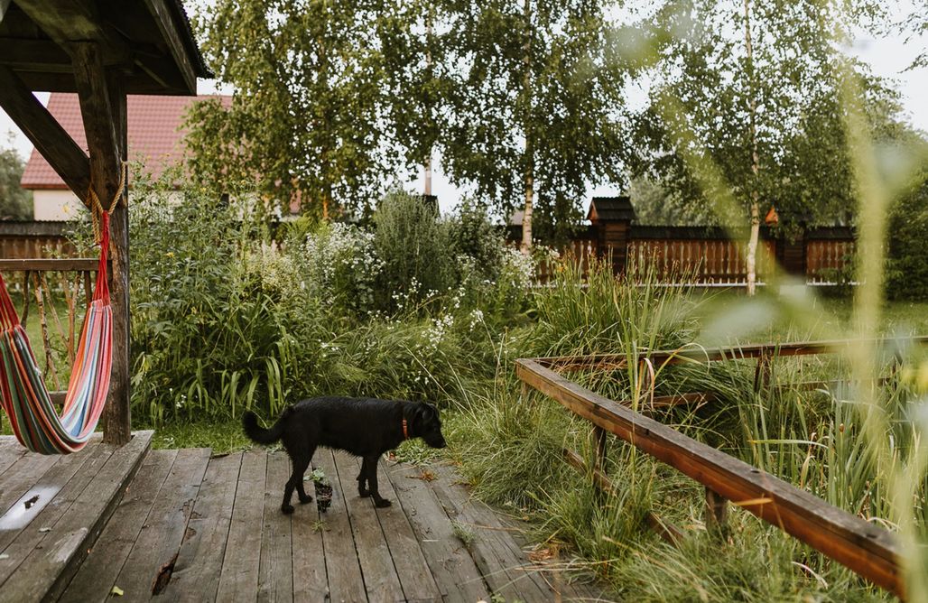 Pole namiotowe lubelskie Miejsce kamperowe i namiotowe - Sioło Budy 3