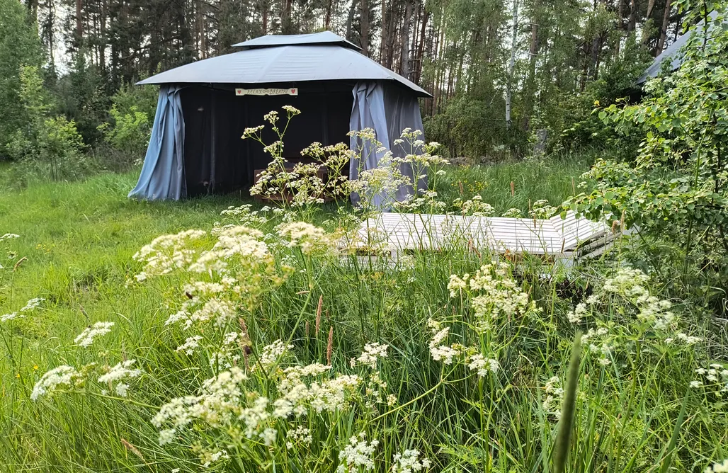 noclegi AlohaCamp Miejsce namiotowe i kamperowe - Magic forest camp 4