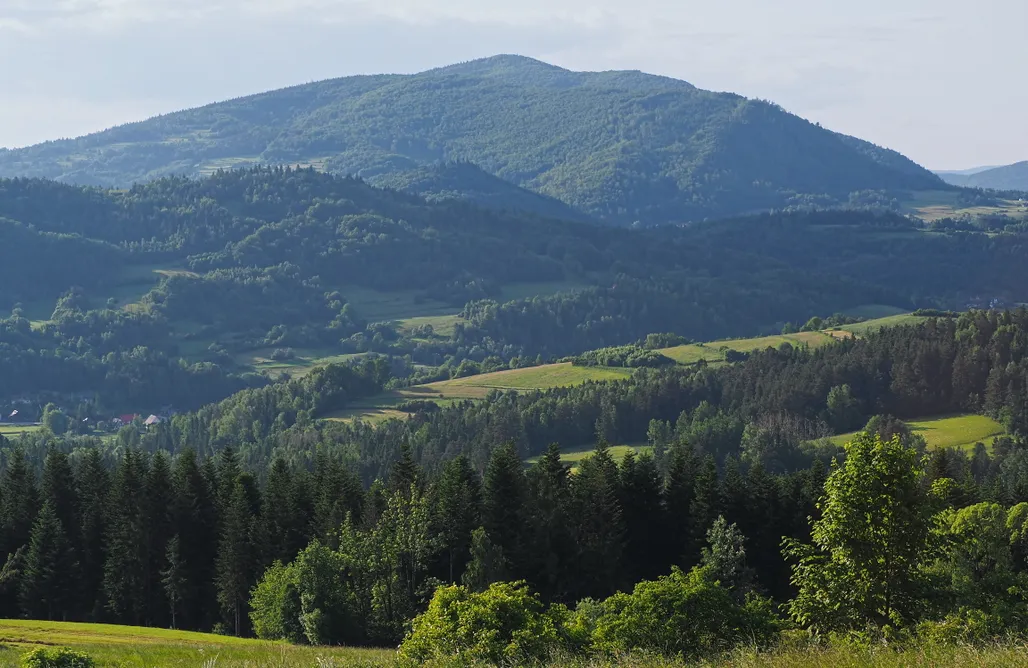 noclegi AlohaCamp Aurora Green Hill - Sunshine z sauną 3