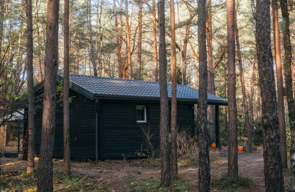 AlohaCamp Domek w środku lasu 1