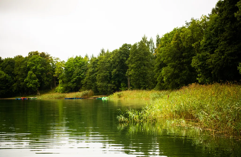 AlohaCamp Glamping  1