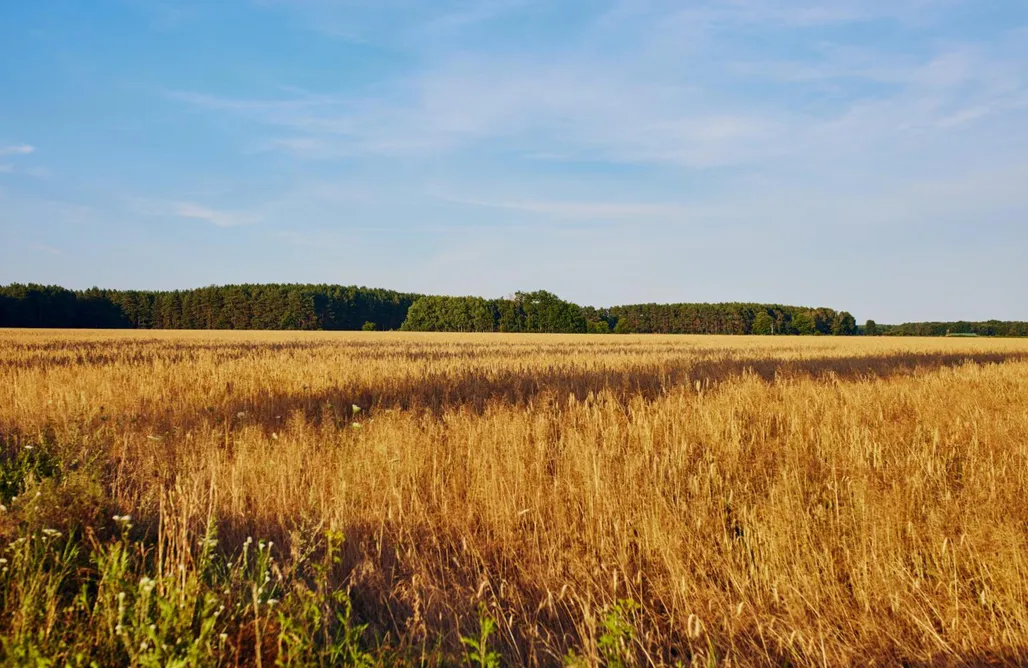 Ferienhaus Mein rotes Haus 1