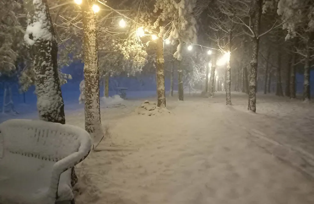 Leśny Domek AlohaCamp