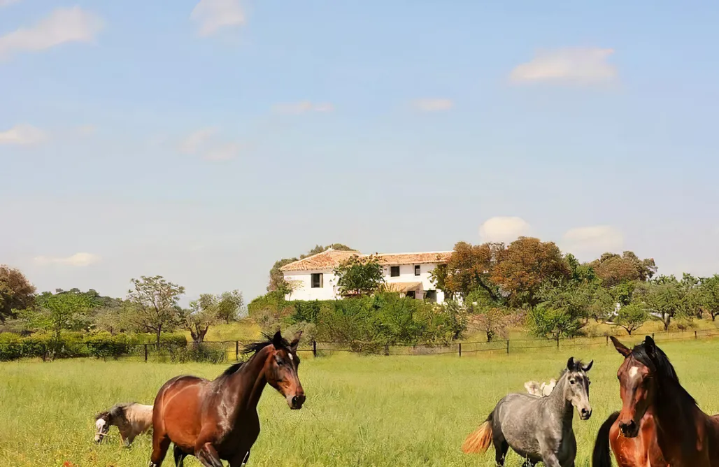 Casa rural en Carcabuey Casa La Carraca 2