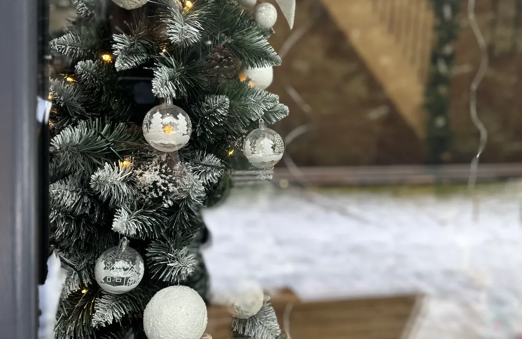 hebergement AlohaCamp Honey House Wierchy  1