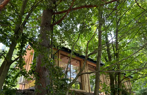 Imagen de Rogaty Domek przy Bobrowisku 