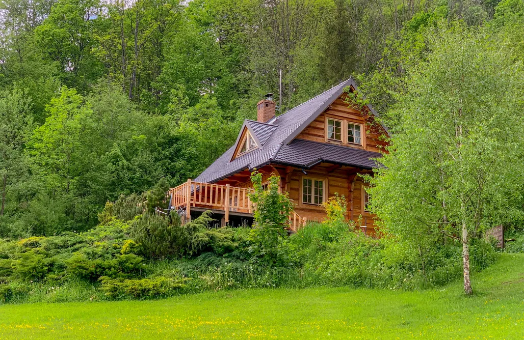 Leśne uroczysko AlohaCamp