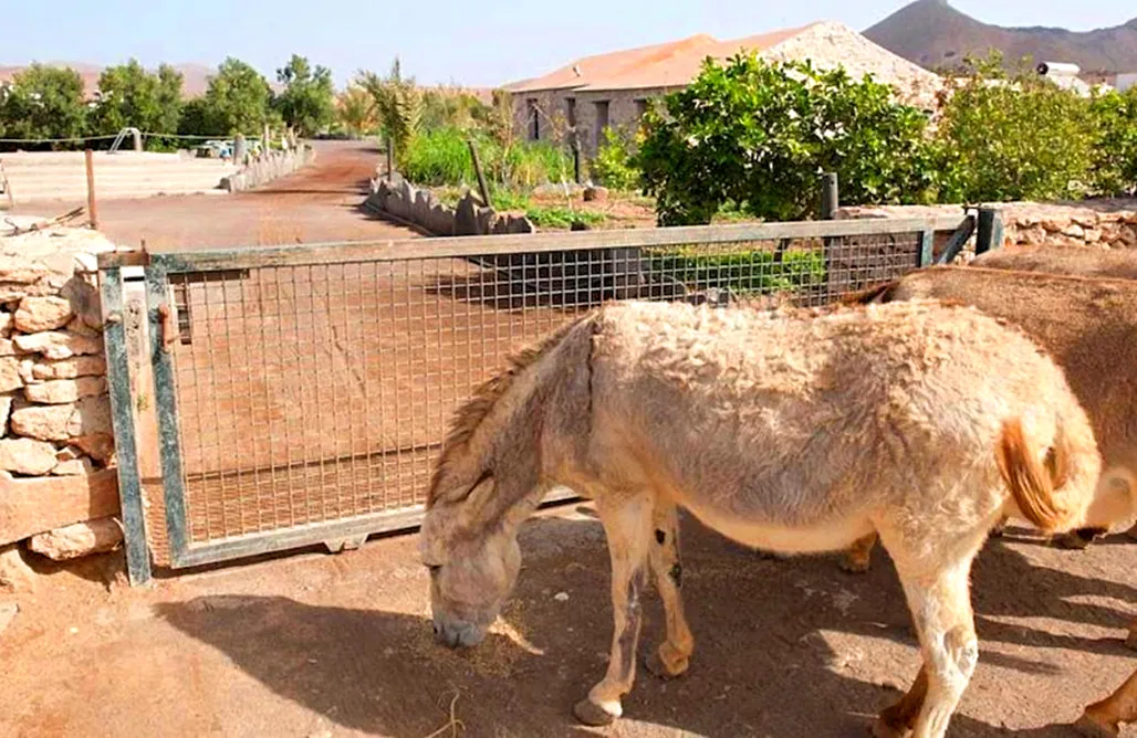 Casa la Gayria AlohaCamp