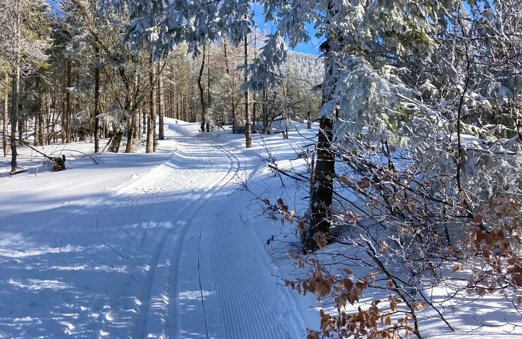 noclegi AlohaCamp Osada Beskidzka Zawoja 1